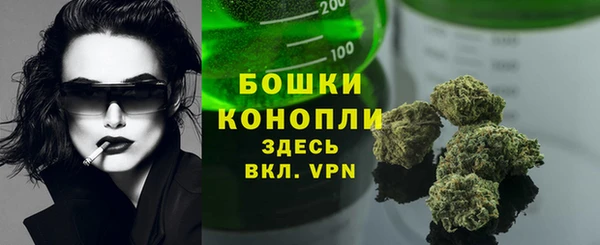 прущие крисы Инта