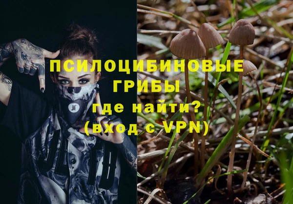 прущие крисы Инта