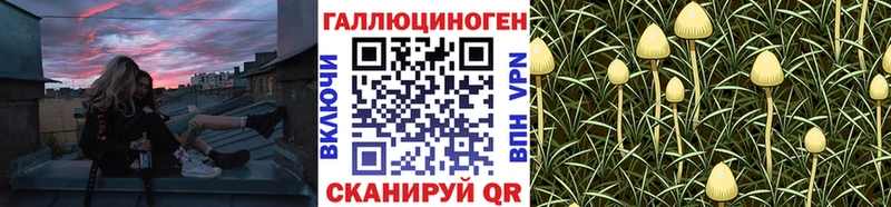 Купить  Феодосия  Галлюциногенные грибы MAGIC MUSHROOMS 